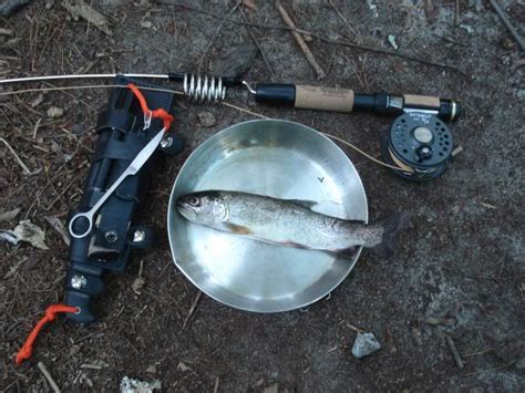 survival reels